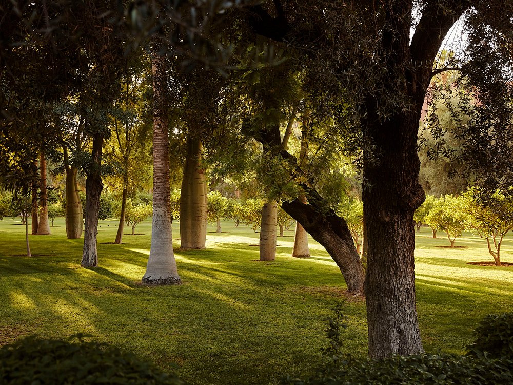 La Mamounia - photo 3