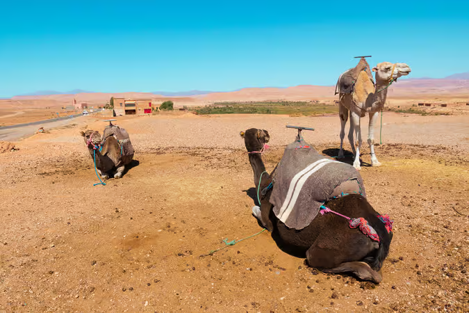 Customer photo submitted with a review of the Atlas Mountains day trip