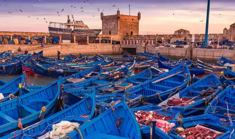 Essaouira day trip from Marrakech, photo 1
