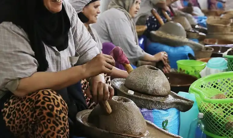 Essaouira day trip from Marrakech with argan cooperative stop, photo 5