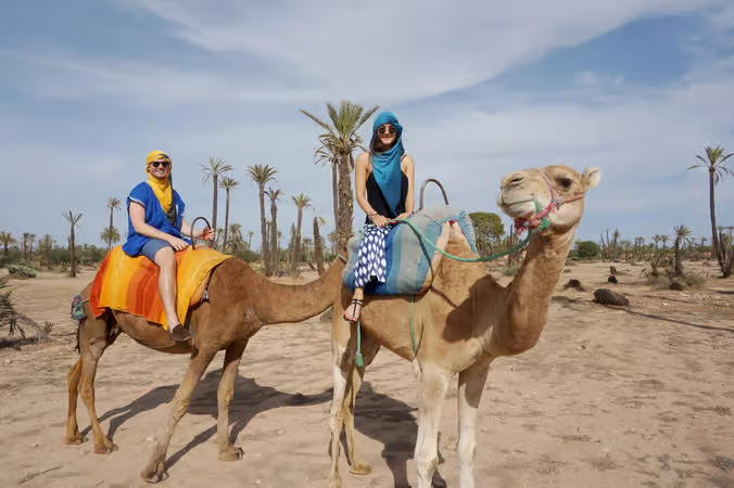 Tour photo of the Marrakech Palm Grove camel excursion