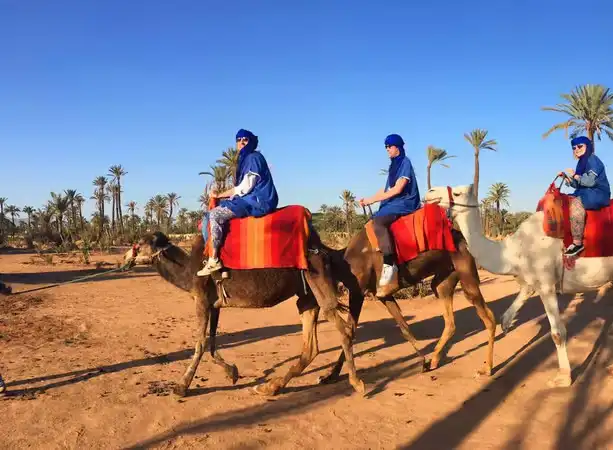 Customer photo submitted with a review of the Marrakech camel ride